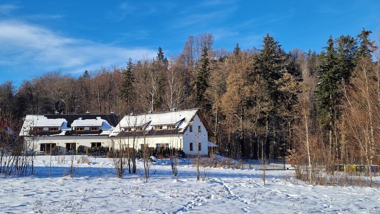 Widokowo - Domki Z Widokiem Na Sniezke Z Jacuzzi I Sauna Karpacz Luaran gambar