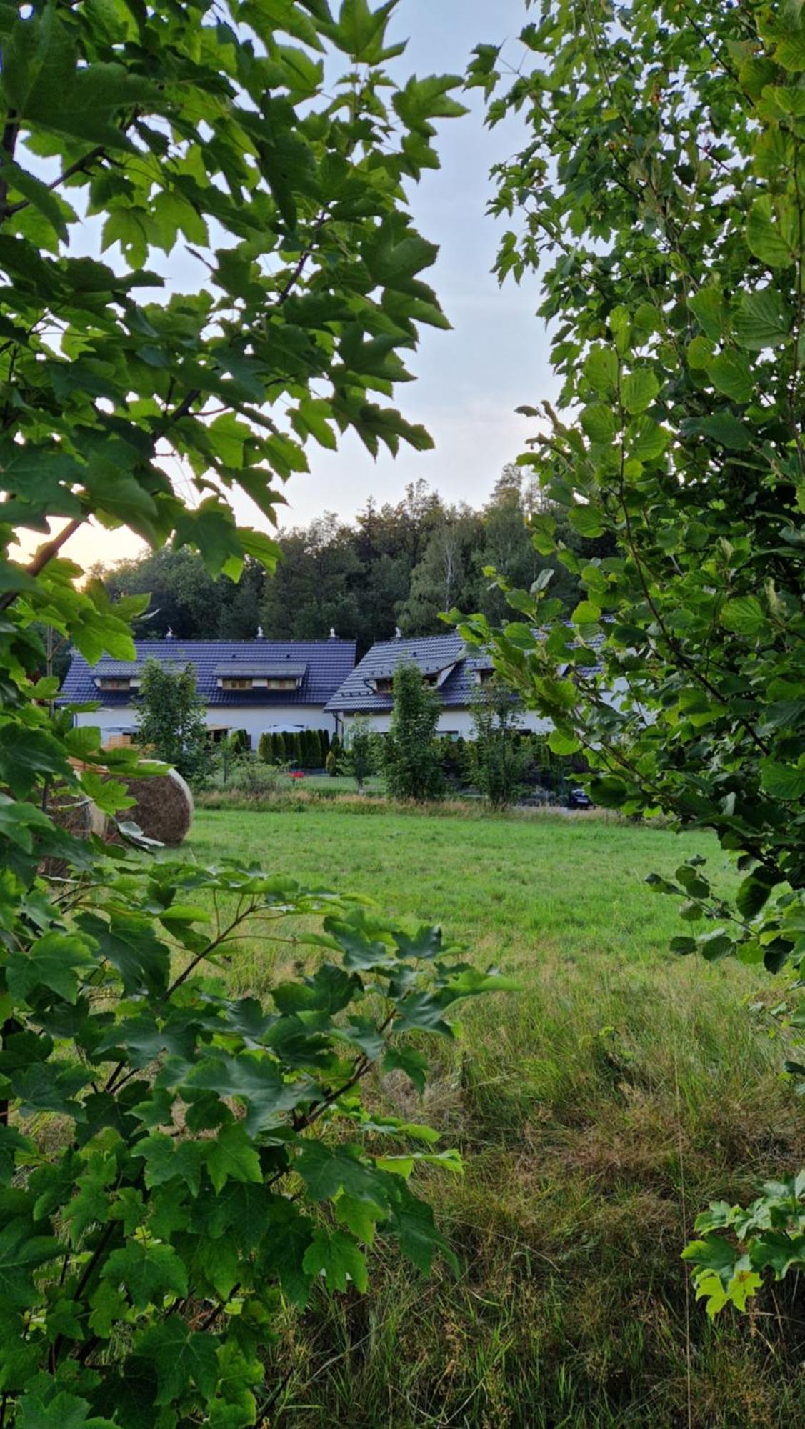 Widokowo - Domki Z Widokiem Na Sniezke Z Jacuzzi I Sauna Karpacz Luaran gambar